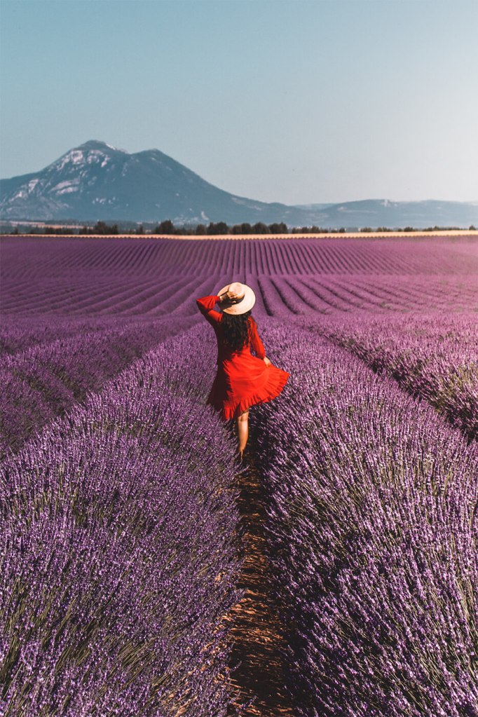 French girl in field of French lavender in Provence